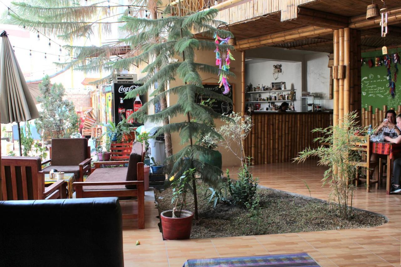 Albergue La Casa de Bamboo Ica Exterior foto